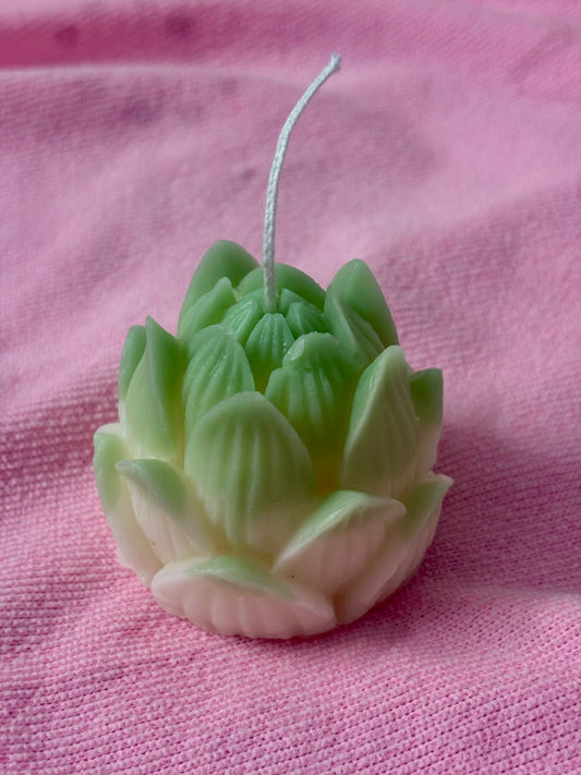 Pine candle